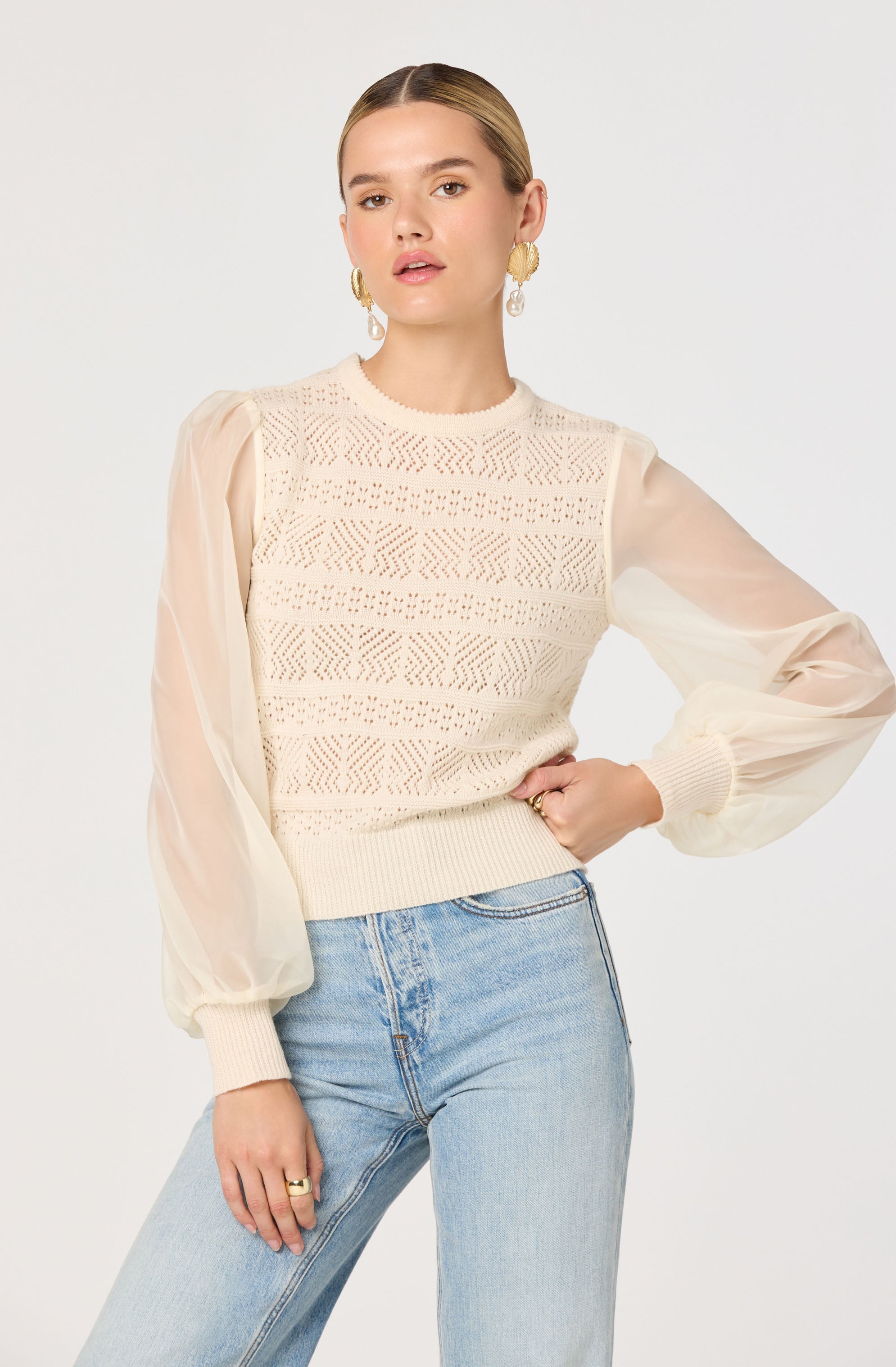 Ann Pointelle Sheer Sleeves Sweater