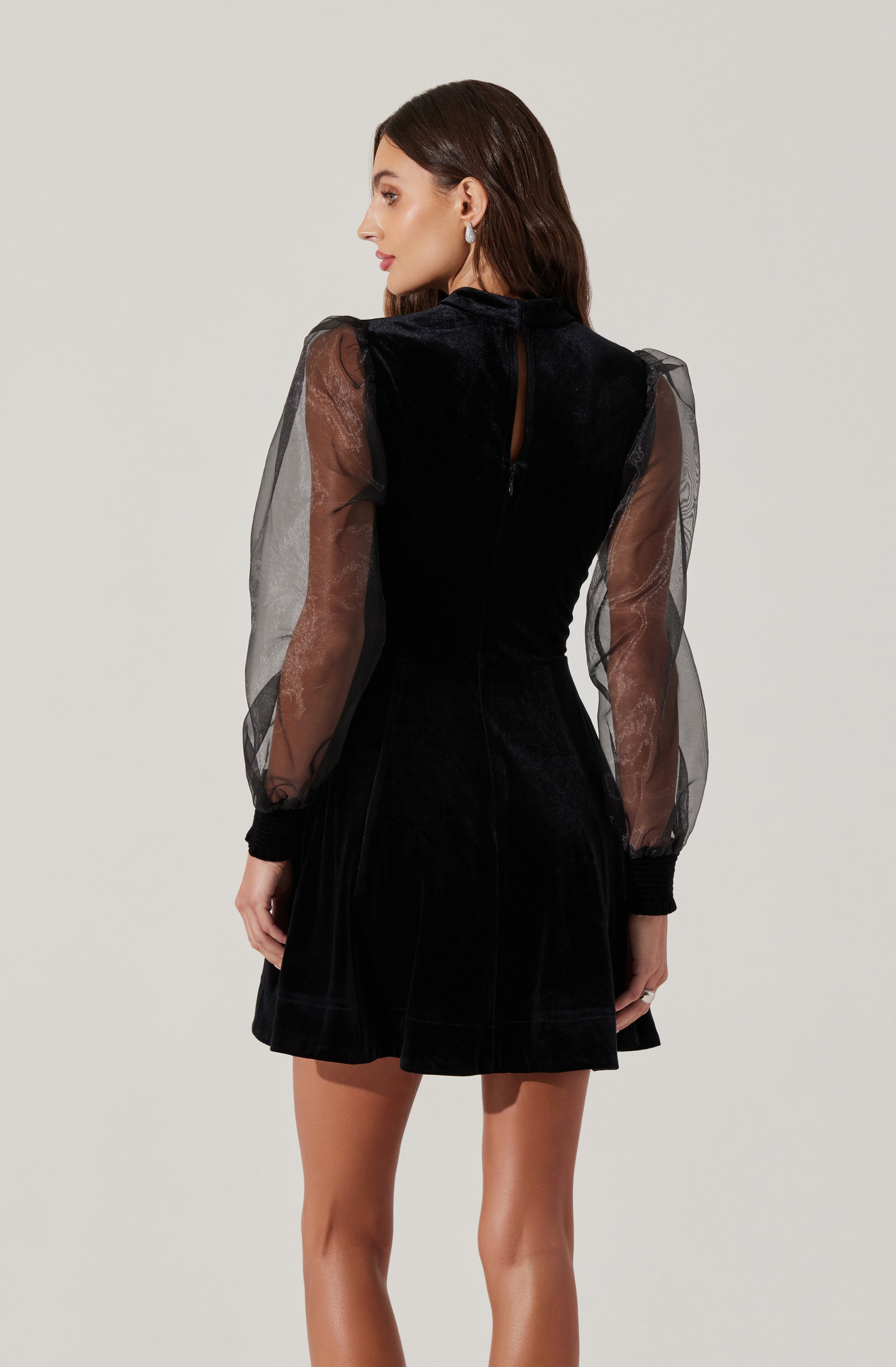 Velvet Sheer Puff Sleeve Dress