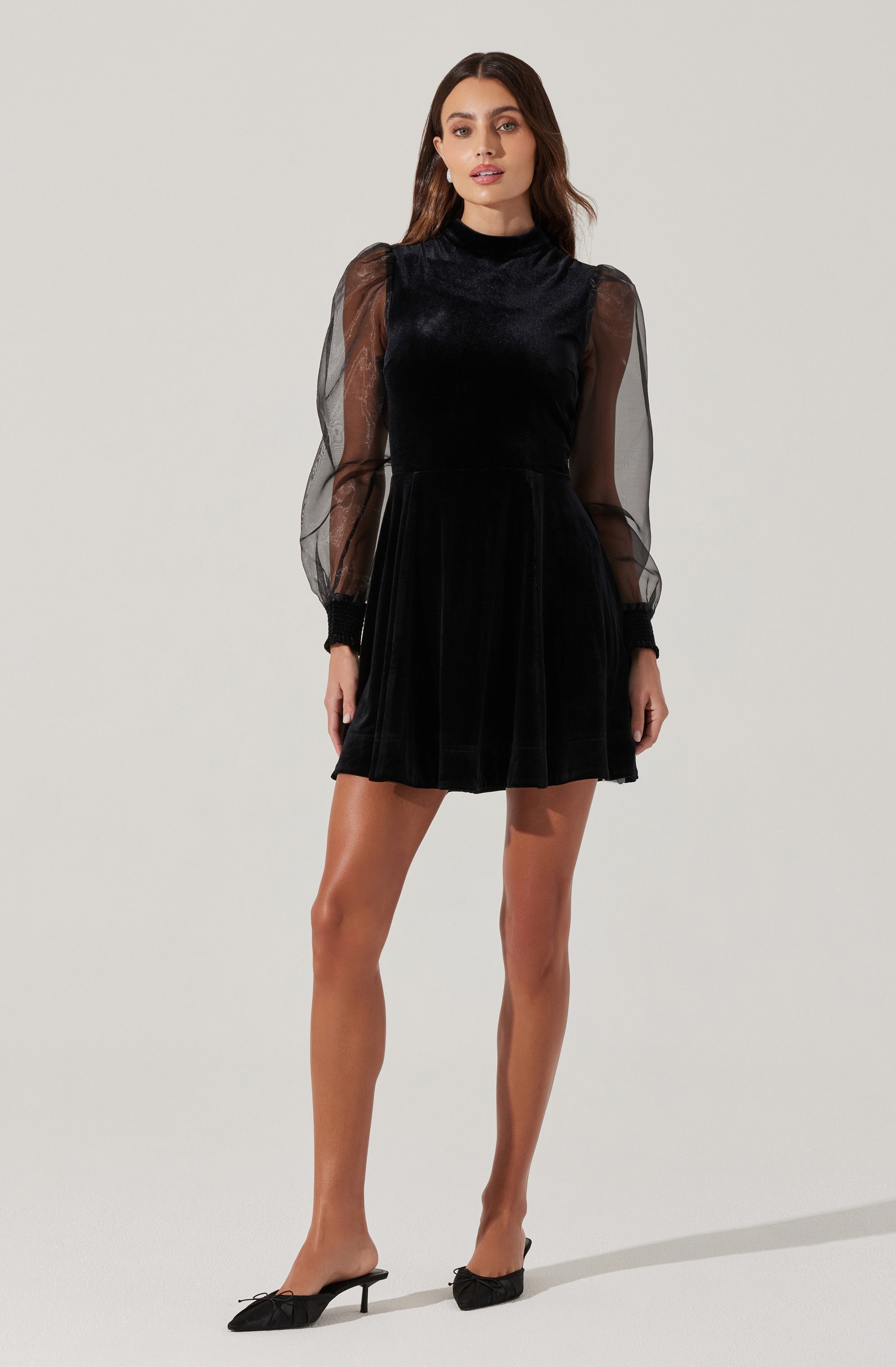 Velvet Sheer Puff Sleeve Dress